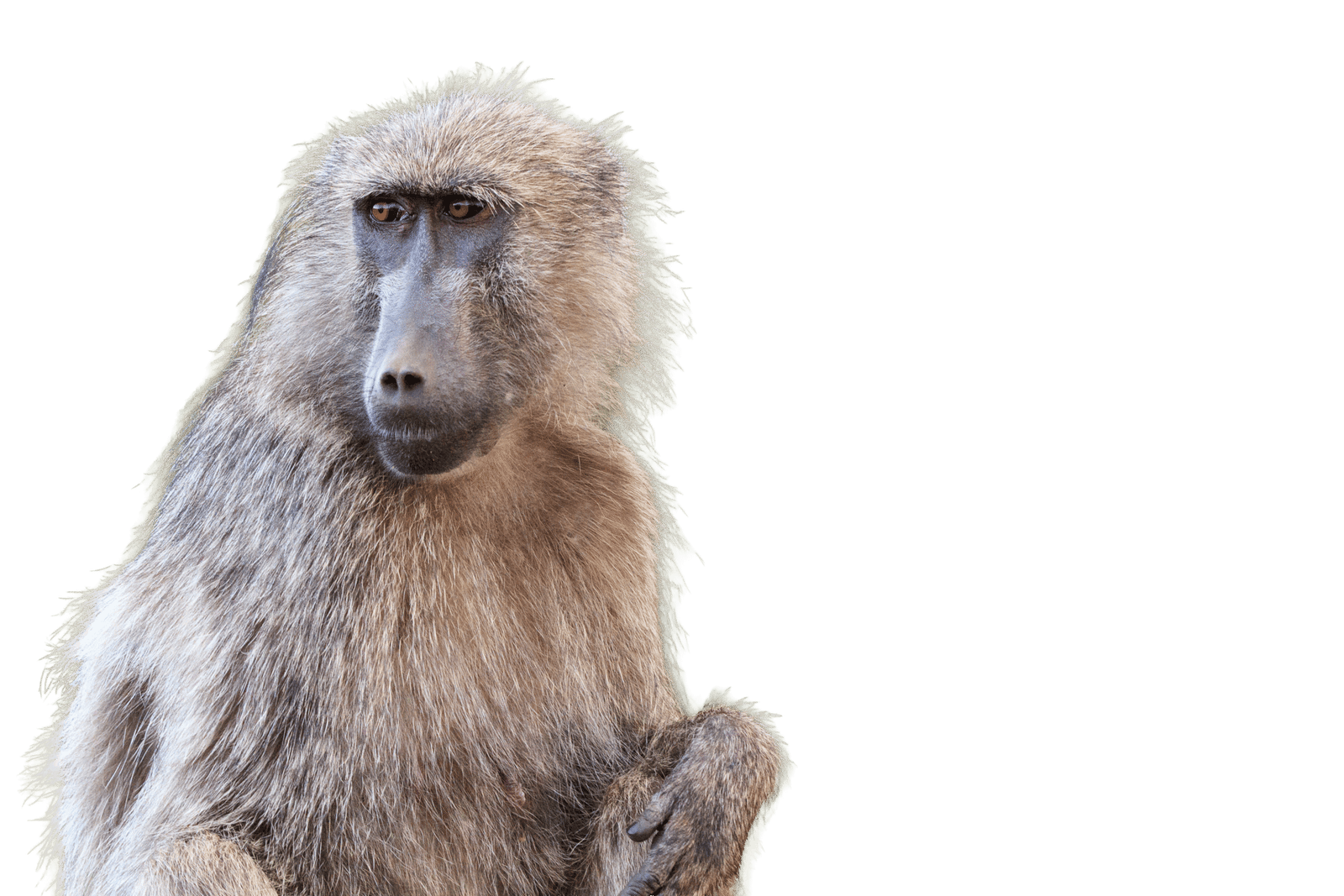 photo: Emiliano Lucero copywrite: Emiliano Lucero